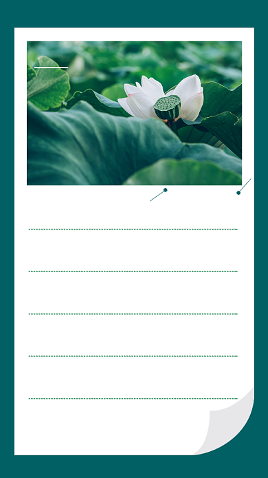 绿色清新夏日时光日签宣传海报背景