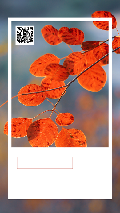 简约清新风日签海报背景