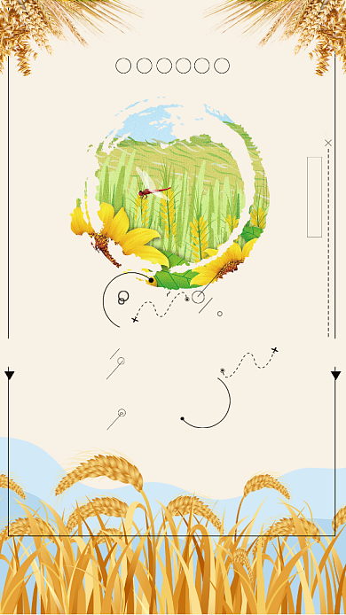 小满二十四节气麦子稻田金黄天空手机海报背景