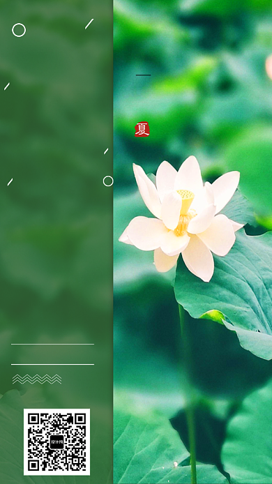 中国传统节气夏至海报背景