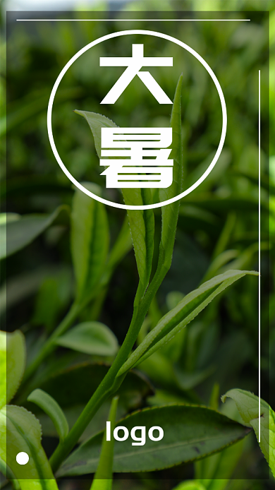 大暑节气简约绿色手机海报背景