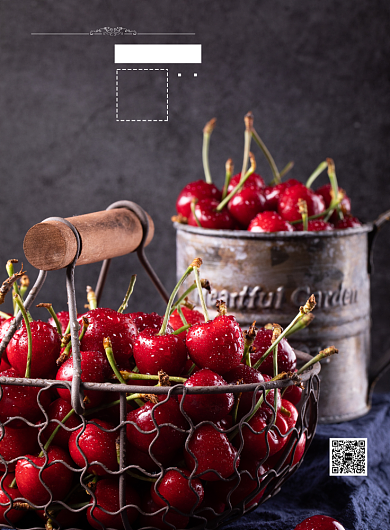 樱桃车厘子上市印刷海报背景