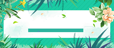 遇见春分绿叶清新绿色新媒体配图背景