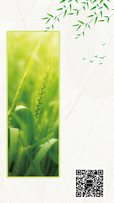 创意传统芒种节气海报背景