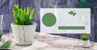 清新双十一多肉盆景促销电商海报背景