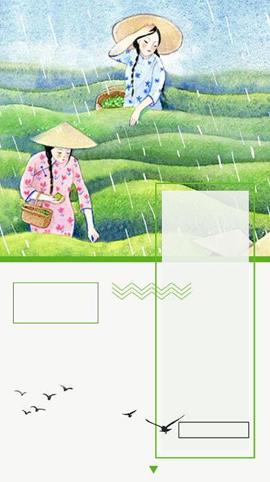 节气谷雨下雨绿色线条春播种宣传手机海报背景