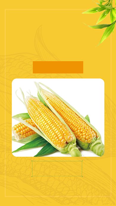 蔬菜促销玉米开业活动黄色手机海报背景