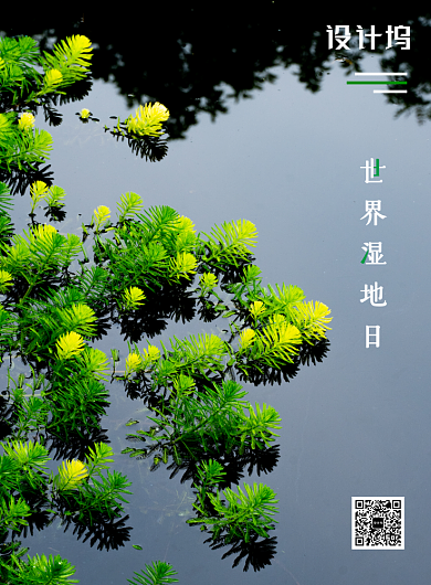 水保护环境世界湿地日海报背景