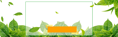 秋茶上新淘宝banner背景