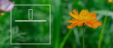 小暑7.7暑假假期夏天盛夏公众号首图背景