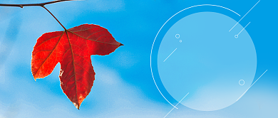 秋分传统节气公众号首图背景