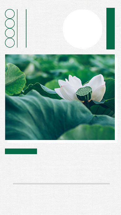 绿色清新大暑节气宣传海报背景