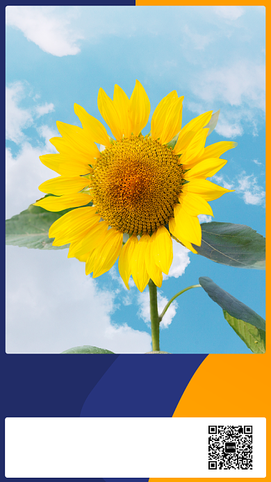 每日一签手机海报背景