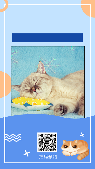 撞色可爱简约喂猫指南手机海报模板背景