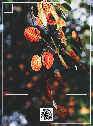 拥抱梦想实景风景企业文化宣传印刷海报背景