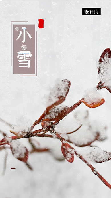 小清新简约小雪传统节气手机海报模板背景