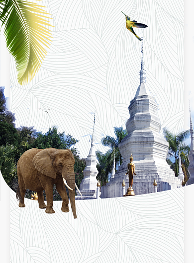 西双版纳海报背景