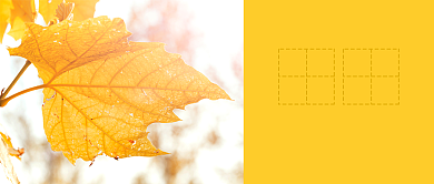 文艺秋分节气公众号首图背景