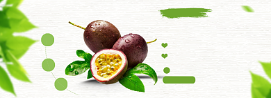 水果百香果banner背景