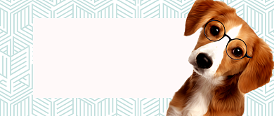 宠物狗公众号首图背景