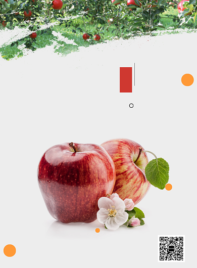 创意新鲜果蔬苹果海报背景
