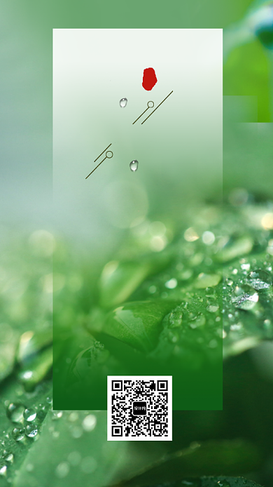 绿色小清新二十四节气之白露手机海报背景