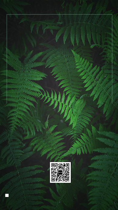 绿色创意夏至海报背景