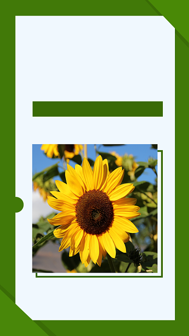 绿色插画盛夏特惠手机海报背景