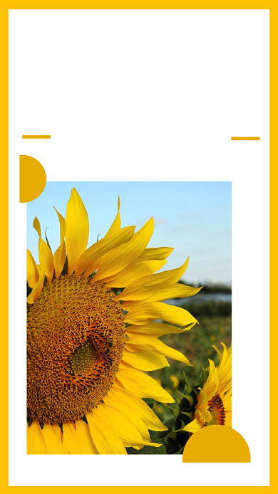 七月你好日签手机海报背景