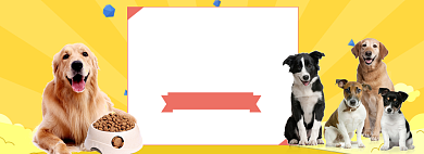 天猫宠物食品狗粮优惠活动淘宝banner背景
