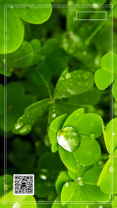 早安日签宣传海报背景