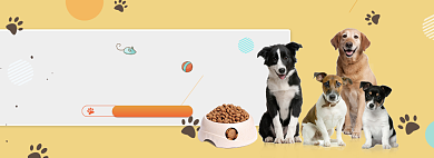 天猫宠物宠粮狗粮打折优惠活动淘宝banner背景