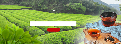 春节茶新茶首发淘宝banner背景