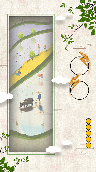 传统清新芒种时节手机海报背景