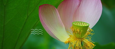 立夏二十四节气公众号首图背景