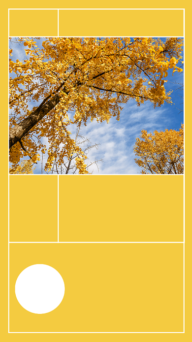 2019立秋宜读书日签海报背景