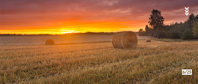 传统全国土地日公众号首图背景