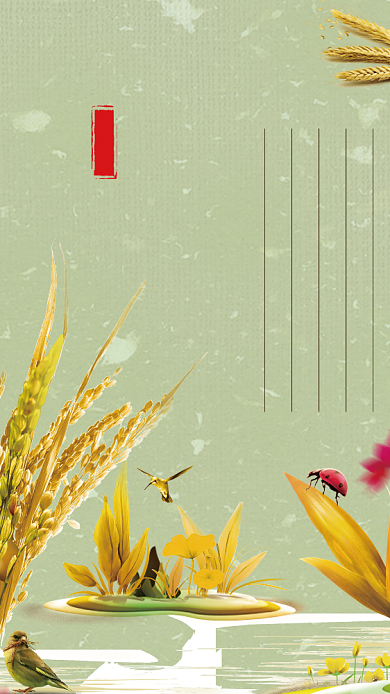 绿色庄家麦子处暑节气海报背景