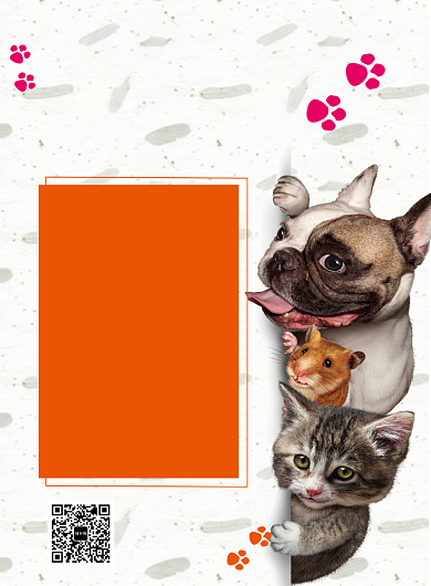 可爱清新宠物店促销印刷海报模板背景