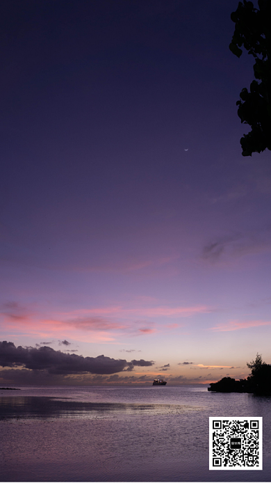 手机日签海报背景