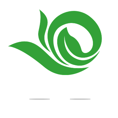 清新绿色波浪企业logo背景