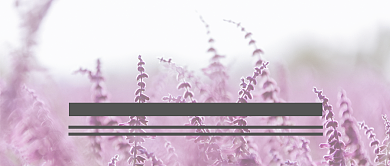 早安你好日签微信公众号素材图片背景