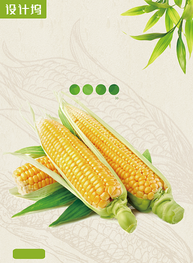 创意清新有机蔬菜海报背景