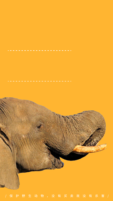 简约保护动物宣传海报背景