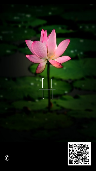 创意时尚荷花夏至海报背景