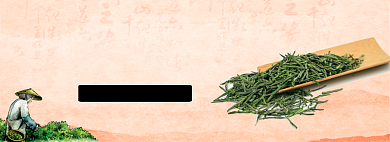新鲜绿茶淘宝banner背景
