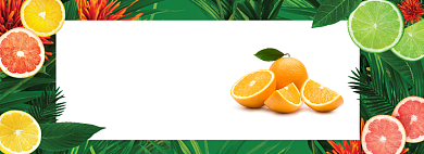 特产云南冰糖橙生鲜水果促销打折海报背景