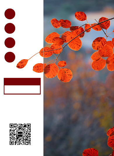 红灰秋季红叶旅游海报背景