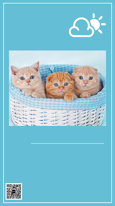 黄色高清动物日签手机海报背景