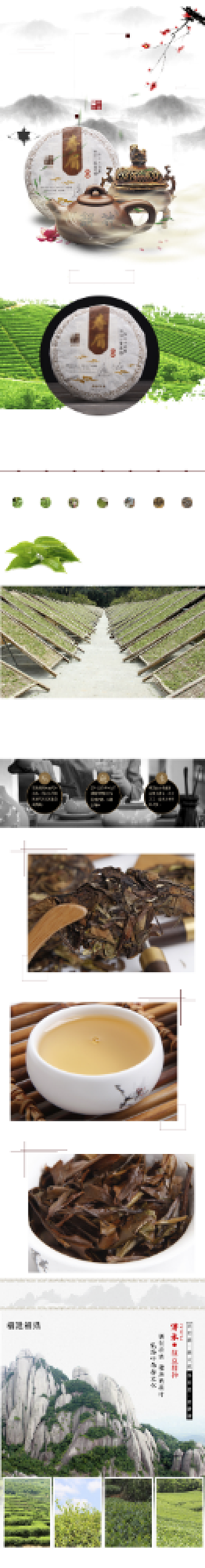 清新风格茶叶重阳节促销详情页背景